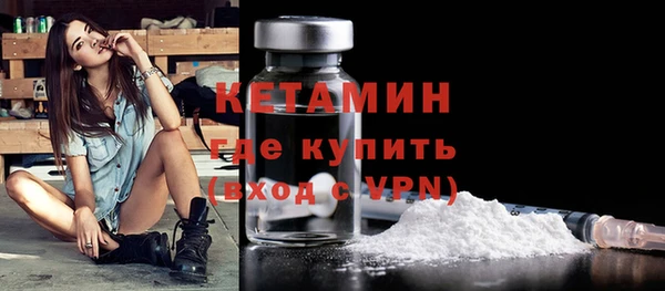 шишки Гусиноозёрск