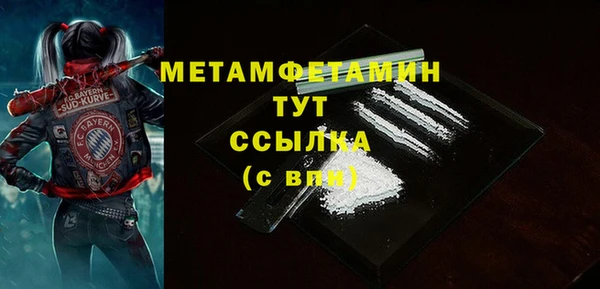 шишки Гусиноозёрск