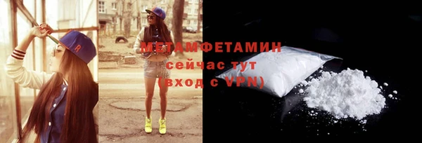 шишки Гусиноозёрск