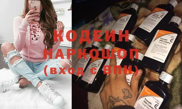 шишки Гусиноозёрск