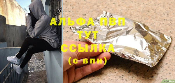 шишки Гусиноозёрск