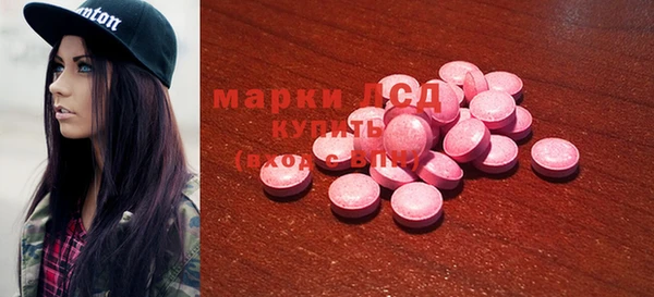 шишки Гусиноозёрск