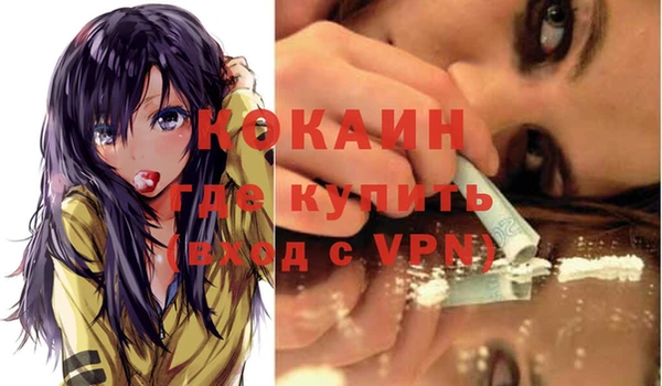 шишки Гусиноозёрск