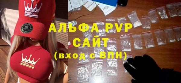 шишки Гусиноозёрск