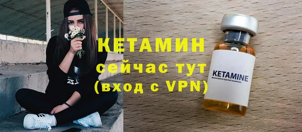 шишки Гусиноозёрск