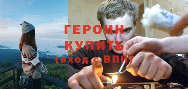 шишки Гусиноозёрск