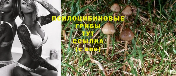 прущая мука Гусев